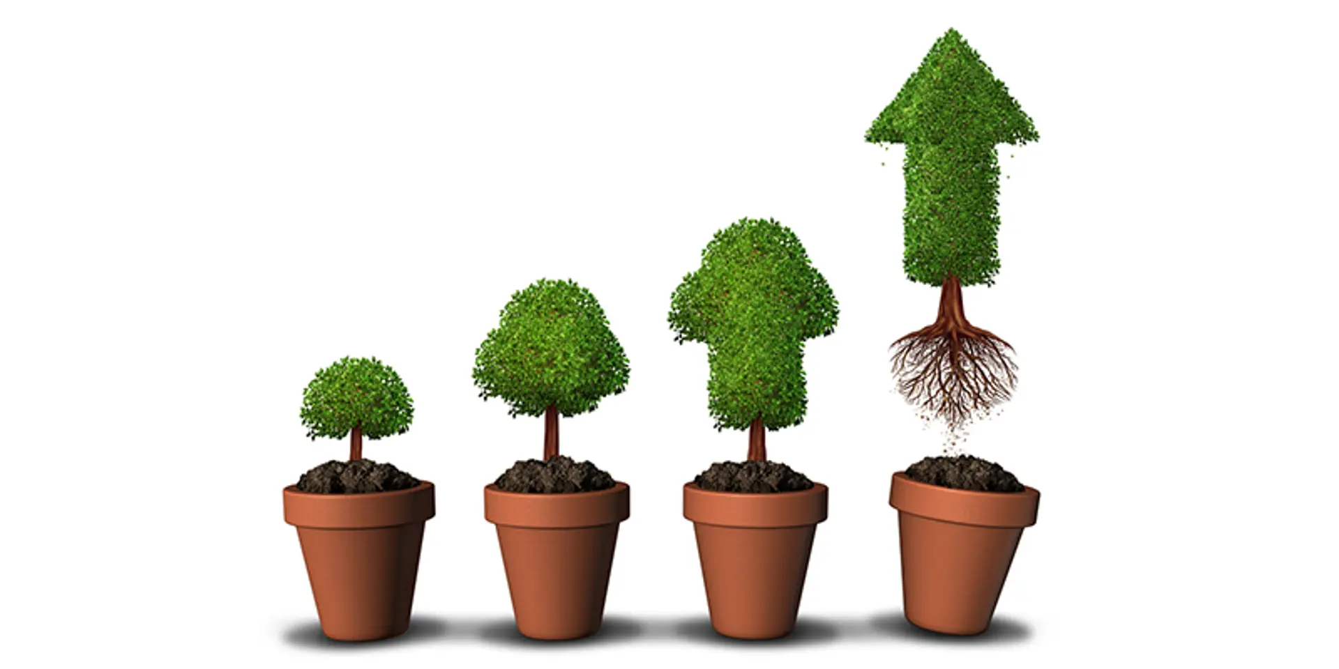 Key Insights from the landscape study of accelerators and incubators in India by the Global Accelerator Learning Initiative