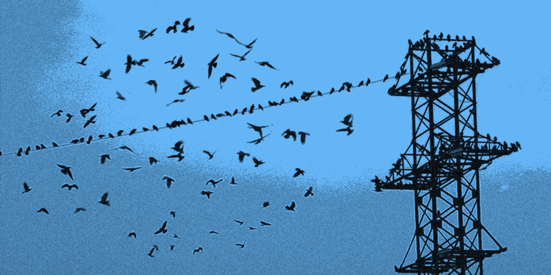 Winning the crow's trust and breaking the barrier of a technology-spooked customer