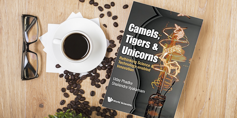 Camels, tigers and unicorns: how to map startup journeys and success factors for innovation
