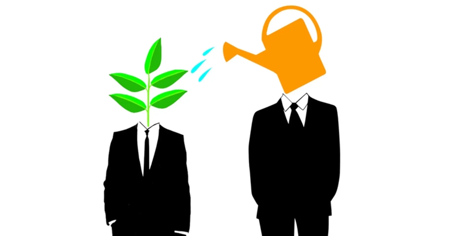 Mentorship is not everyone’s cup of tea: here is what you need in a mentor