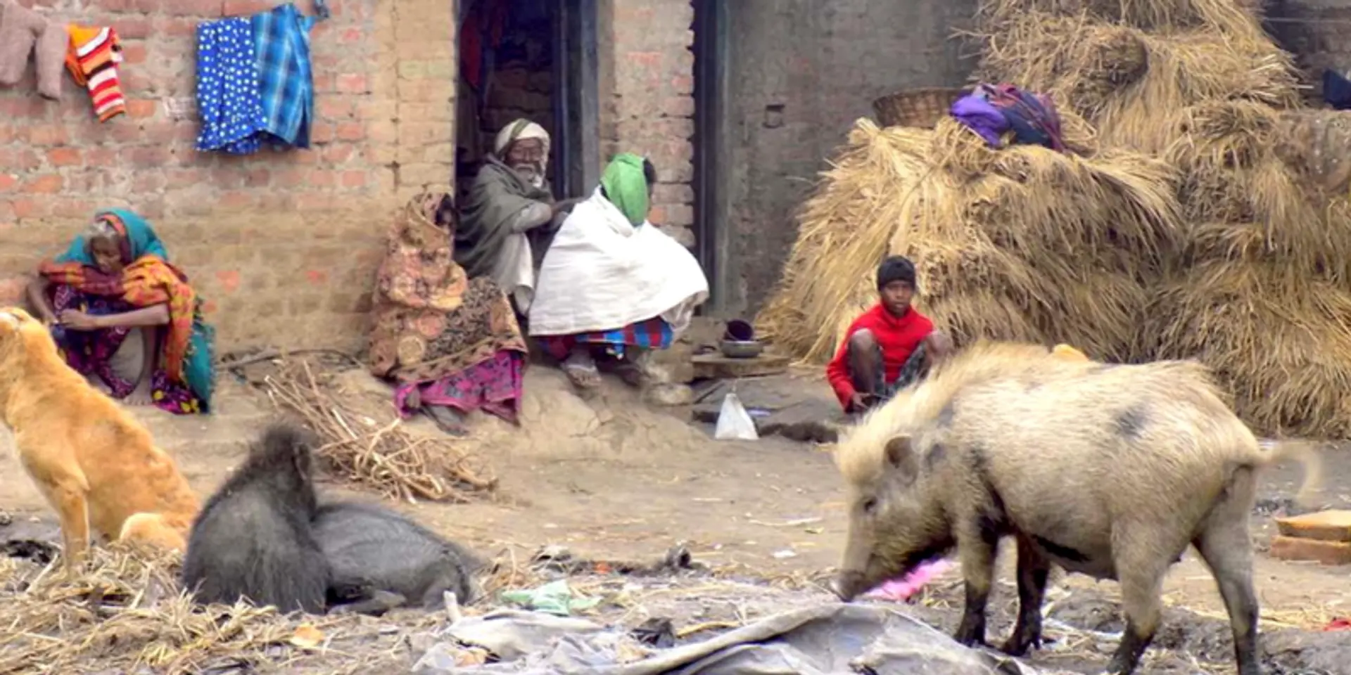 Bihar’s Musahar community aims to battle regressive mindsets with education