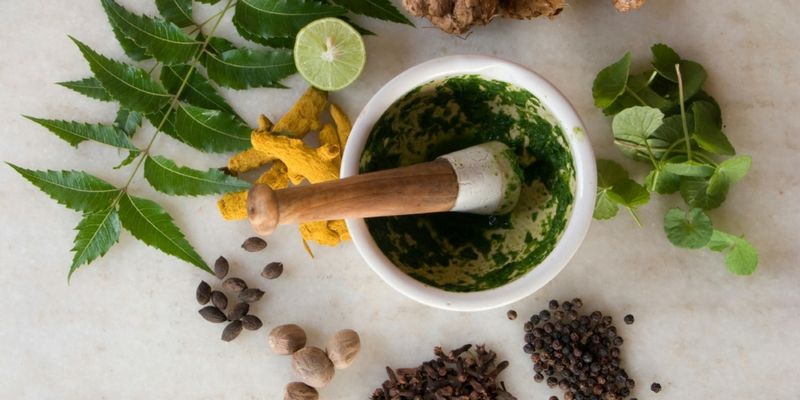 India is world's second largest exporter of herbal medicines after China