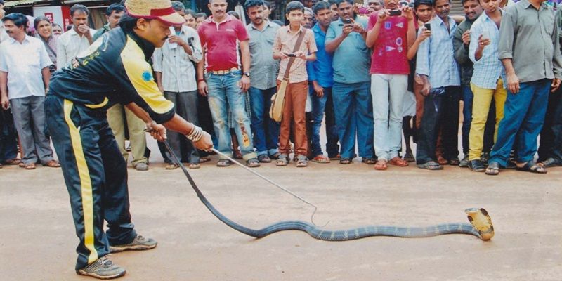 Meet the snake catcher from Karnataka who runs an orphanage