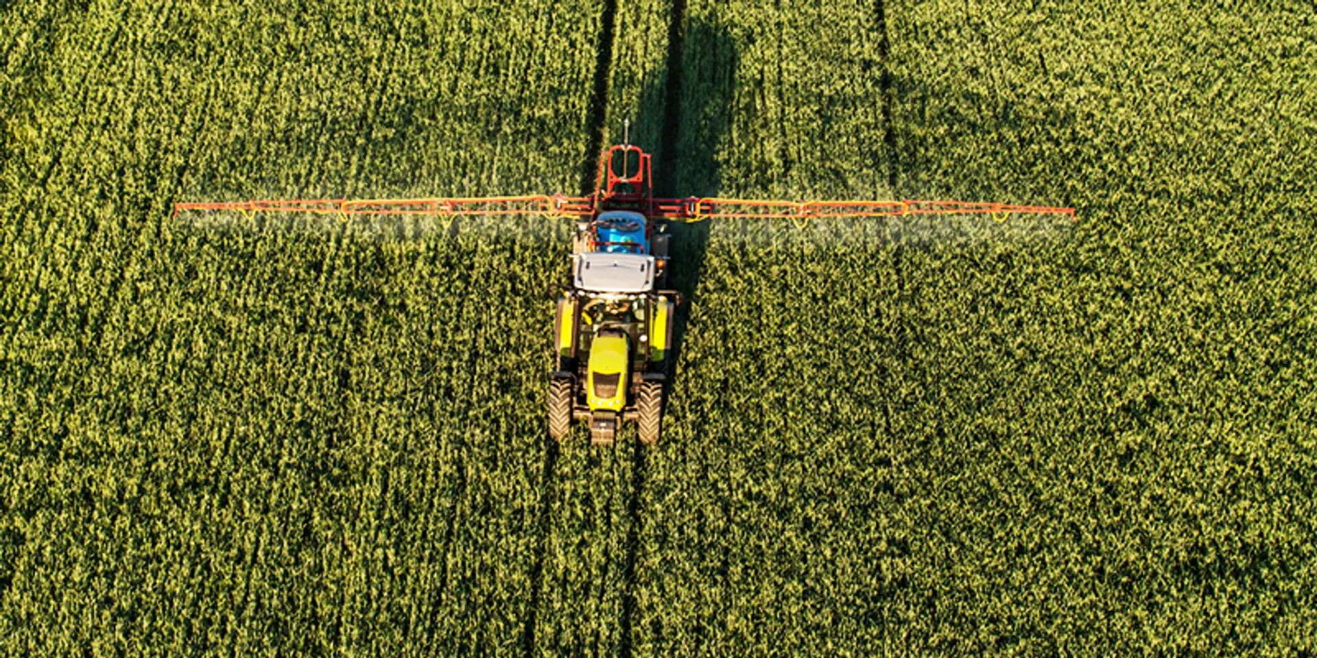 The rural saga: improving agricultural income in the long term