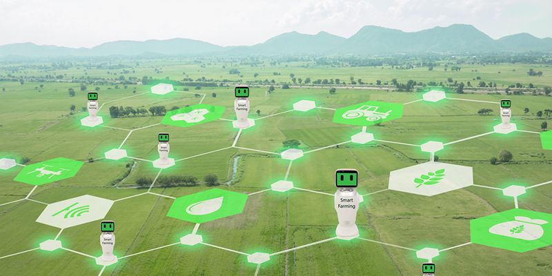 IoT in the rural sector: agriculture, dairy and energy