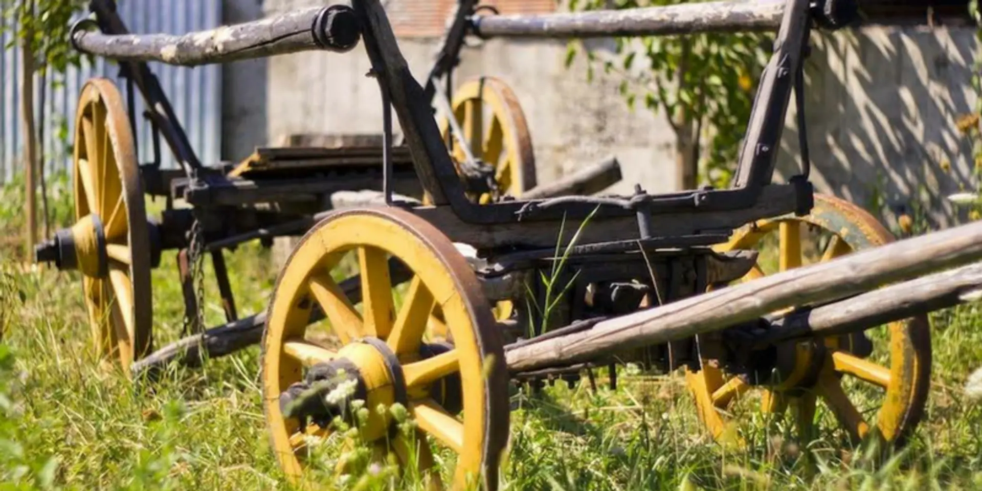 What technology does the poor need?