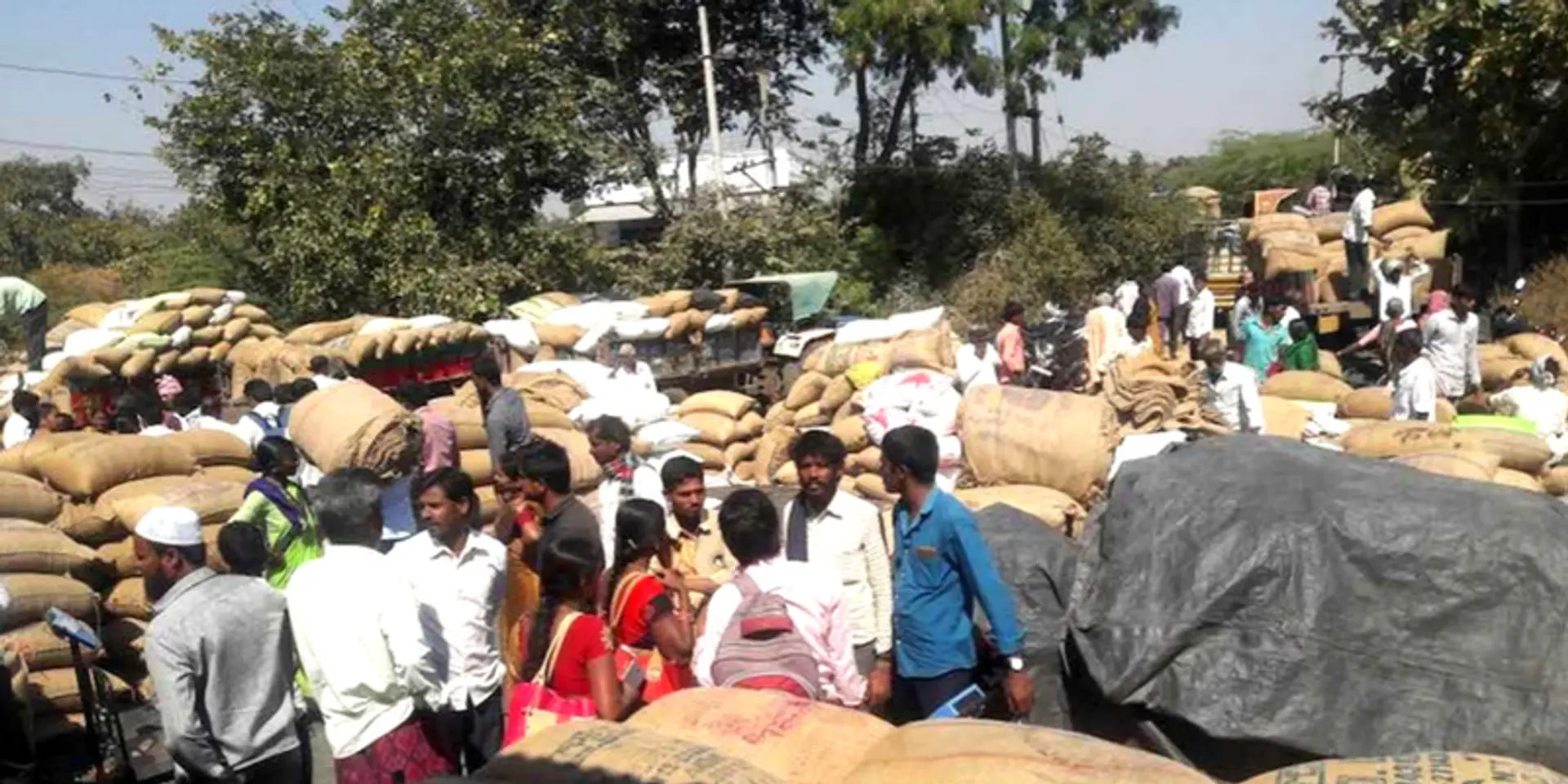 Tur dal farmers left in the lurch due to tardy procurement
