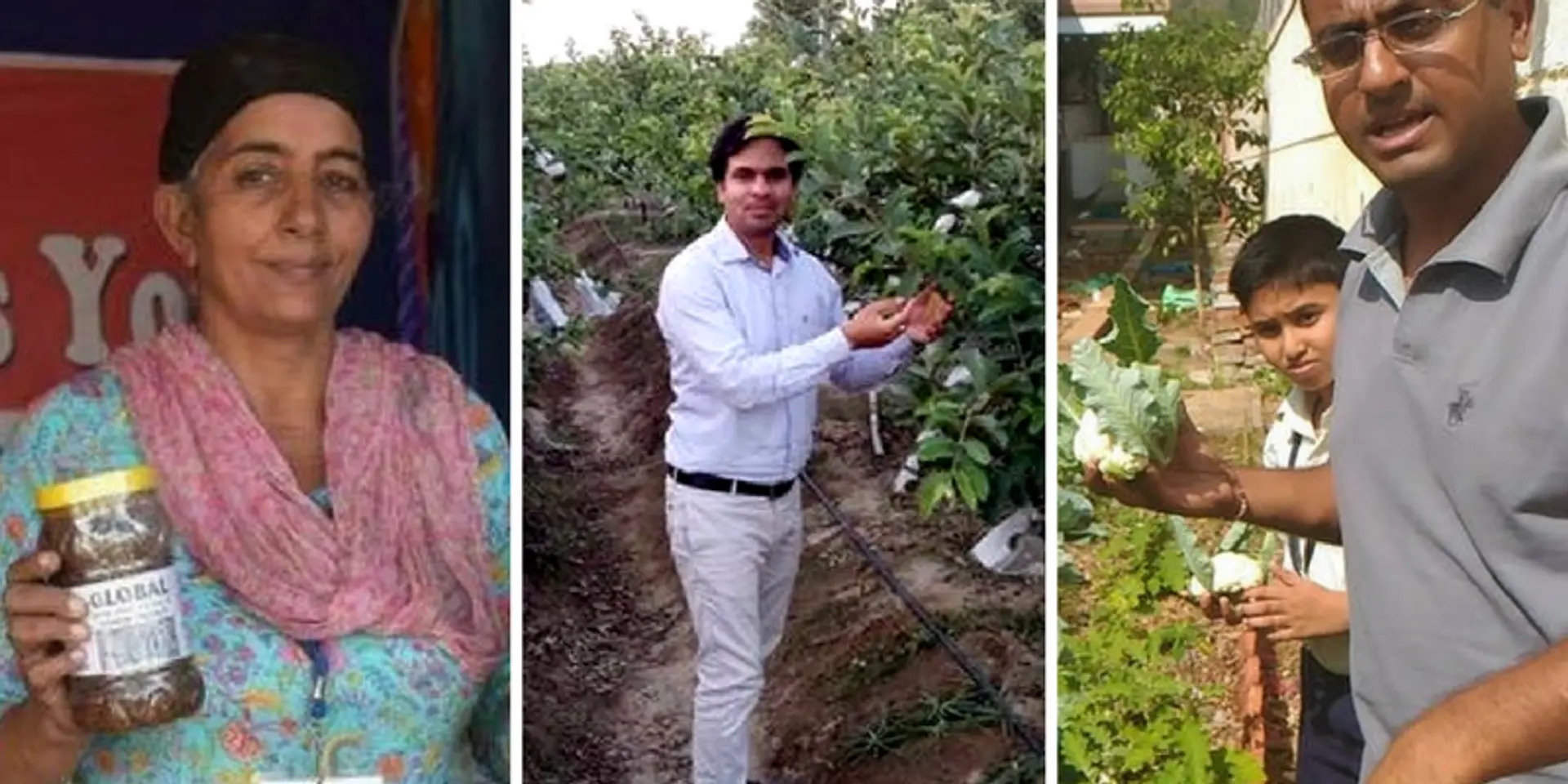 How these individuals left their high-paying corporate jobs to start organic farming