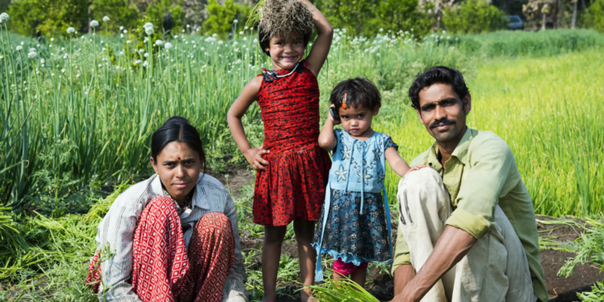 Super crop millet and organic farming get a boost from these startups