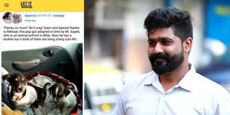 This mobile app connects animal lovers across India, provides real-time help to strays