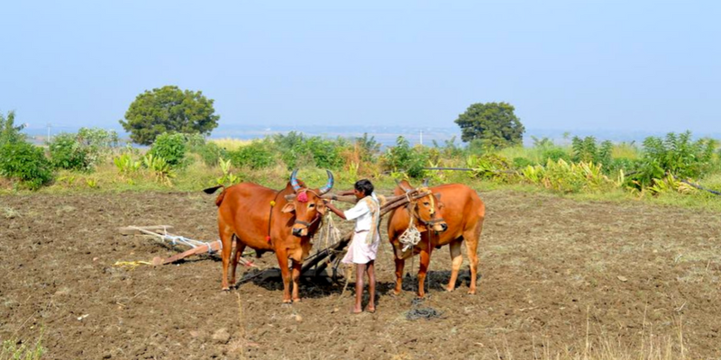 How Telangana farmers are turning barren land into productive farms