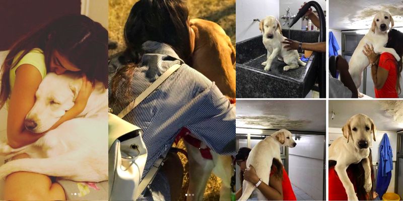 This tarot card reader and model moonlights as a guardian angel for 50 stray dogs