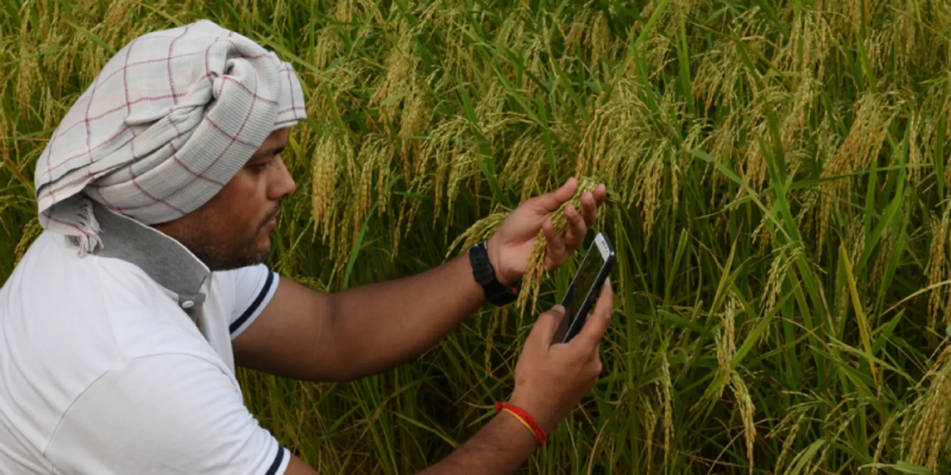 Why ‘Farming as a Service’ is attracting big bucks