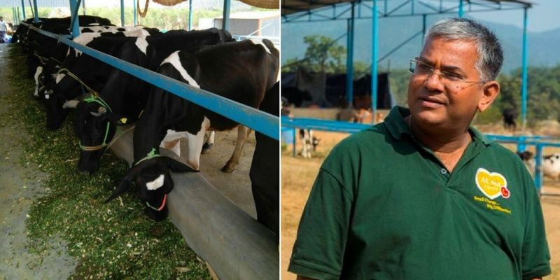 Rs 2 cr in 2 years: this writer-cum-entrepreneur has made dairy farming a profitable business