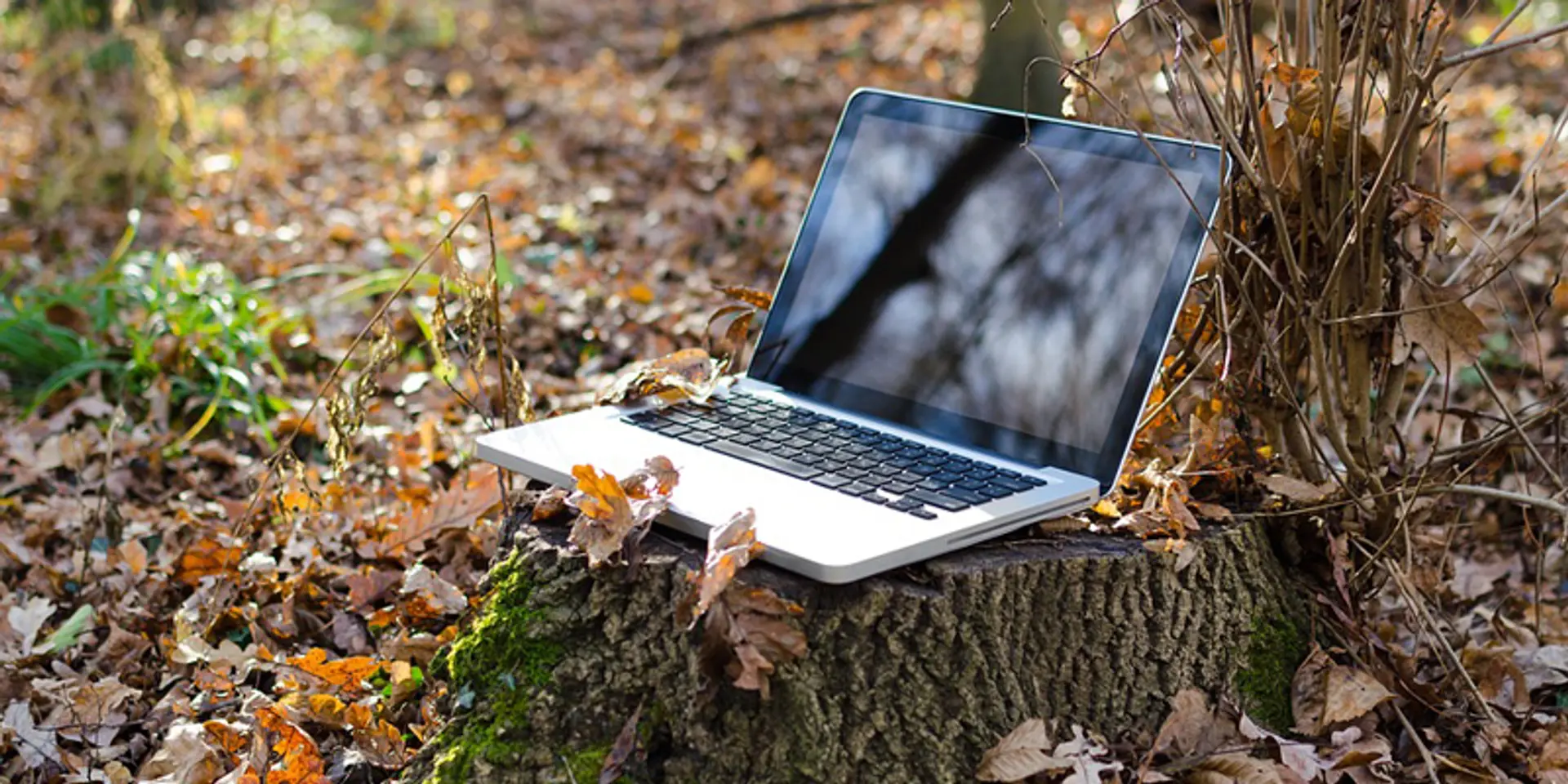 How to harness mobile workforce in the age of platform economy