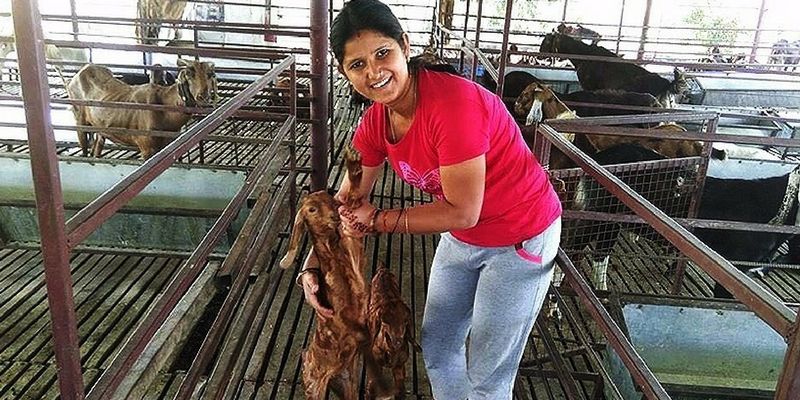Quitting her job as fashion designer, this girl is now earning in lakhs through goat-rearing
