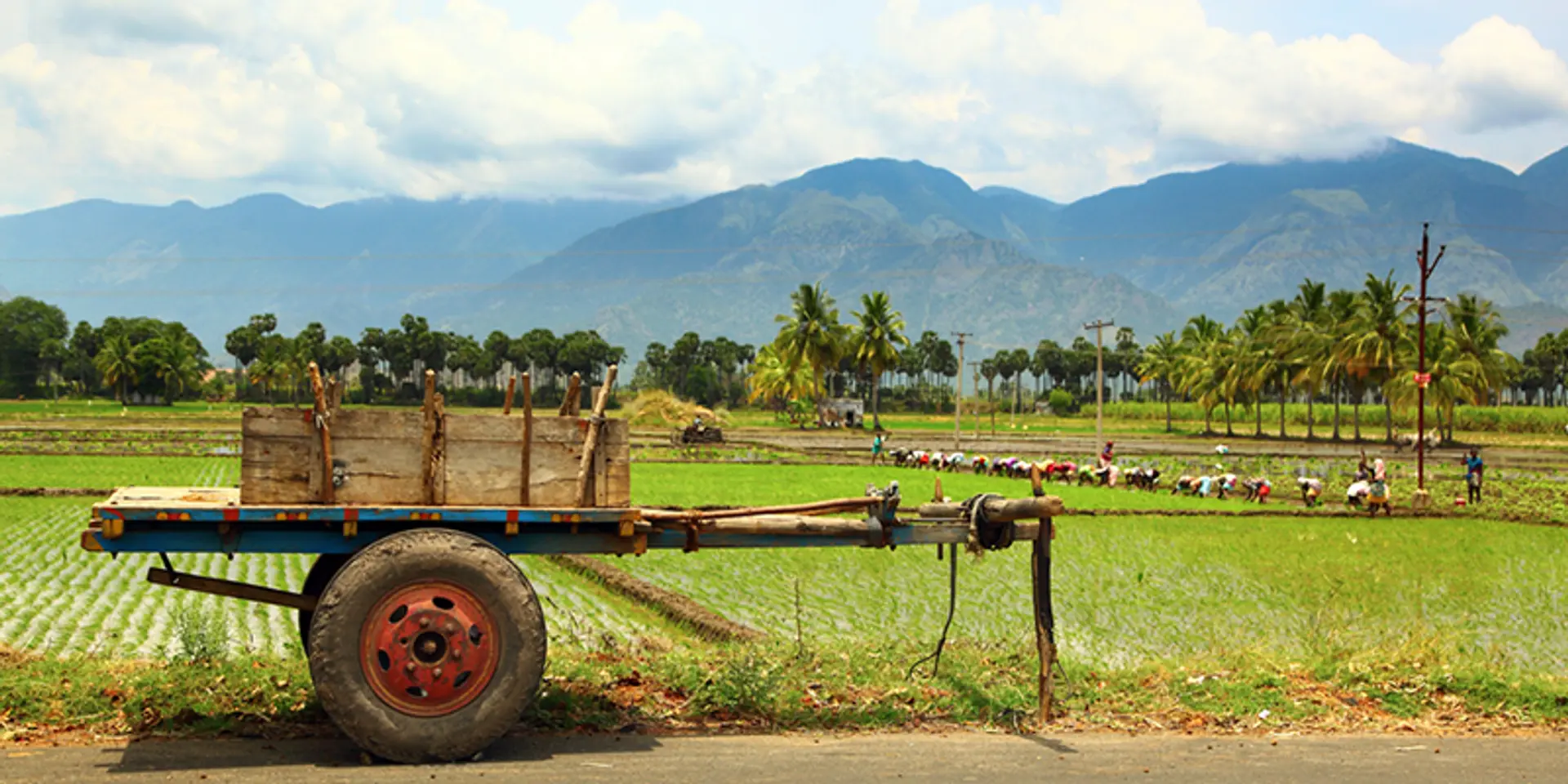Here's a list of agritech startups to watch out for in 2018