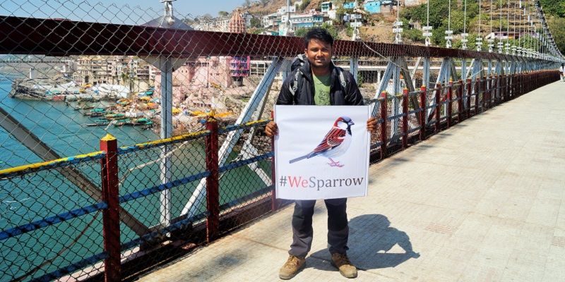 This engineering graduate has taken common sparrows under his wing to help conserve them