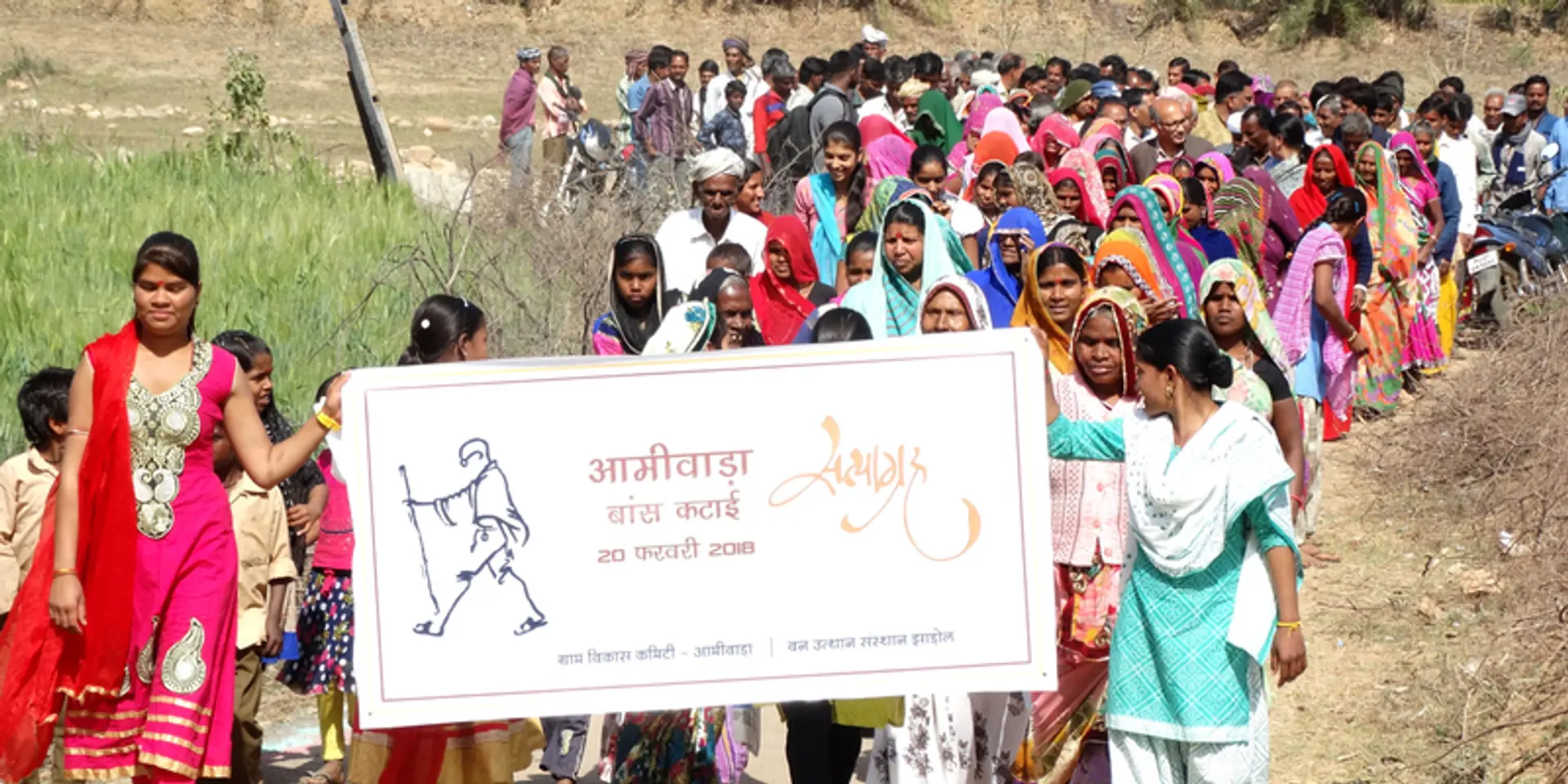 Facing govt inaction, tribal farmers in Rajasthan harvest bamboo on their own