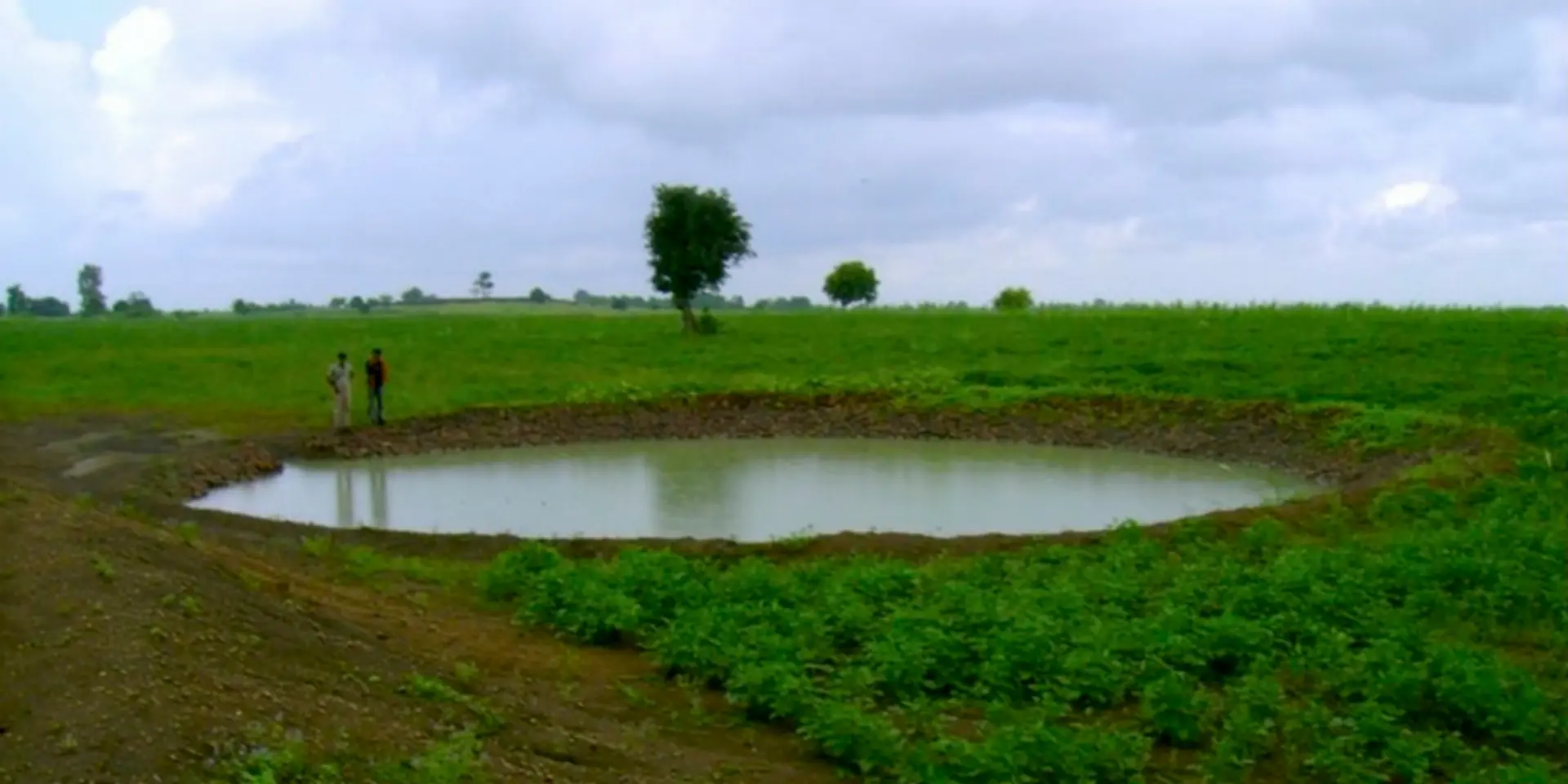 Rainwater harvesting is the best way forward for irrigation