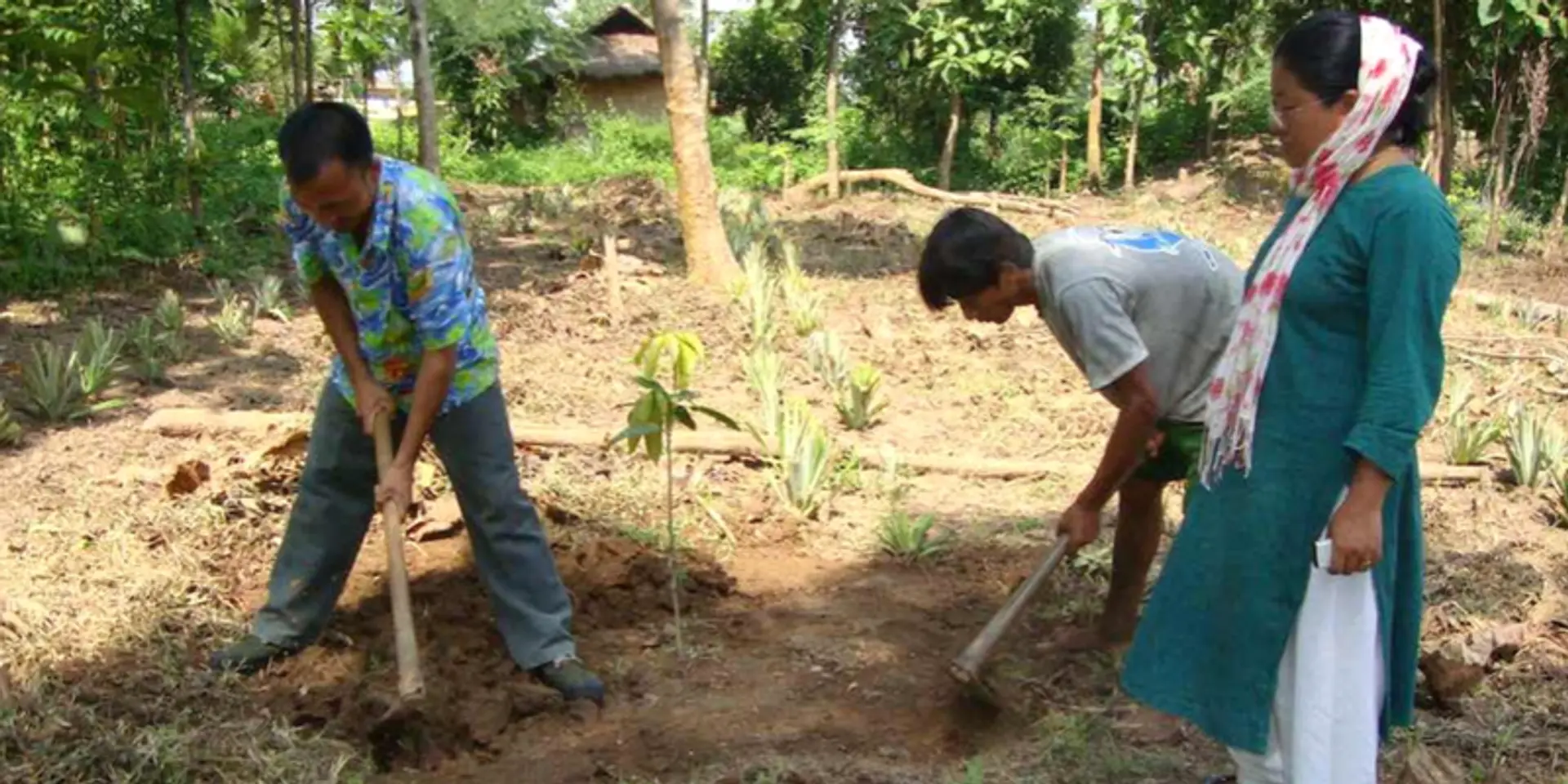 Social entrepreneur sets tribes in Nagaland on the path to progress