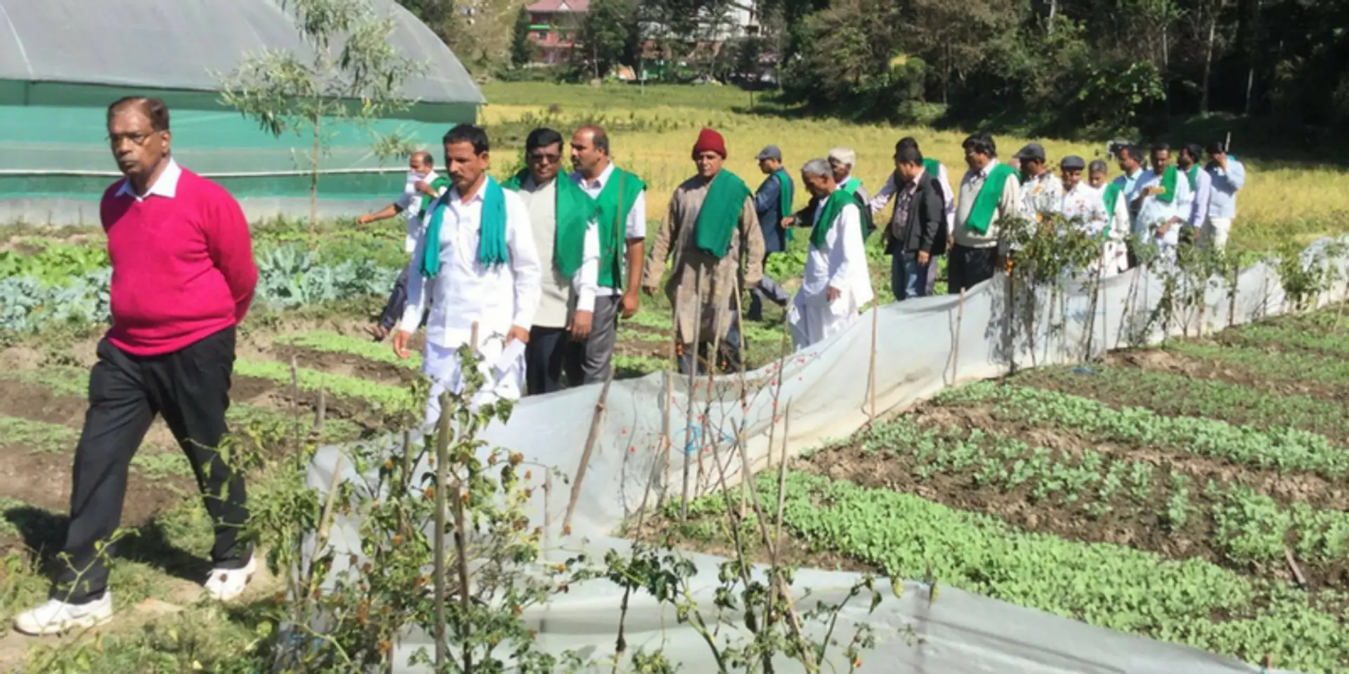 How this 81-year-old entrepreneur is pioneering super-crop production in India