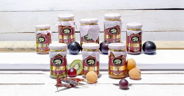 fruit bageecha products