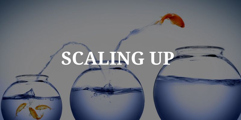 Scale-up successfully: growth strategies for early-stage startups