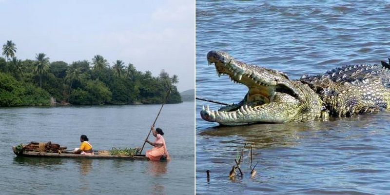 Meet the nurse who crosses crocodile-infested river to help patients