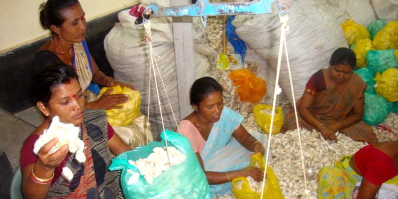 Women of Kamrup lead Eri silk revival for improved livelihoods in Assam
