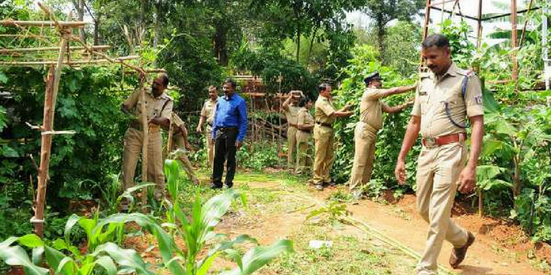 Meet the Kerala cops who converted their station compound into an organic farm