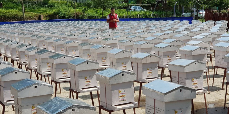 KVIC creates buzz, sets world record by distributing 1,000 bee boxes to Assam tribals