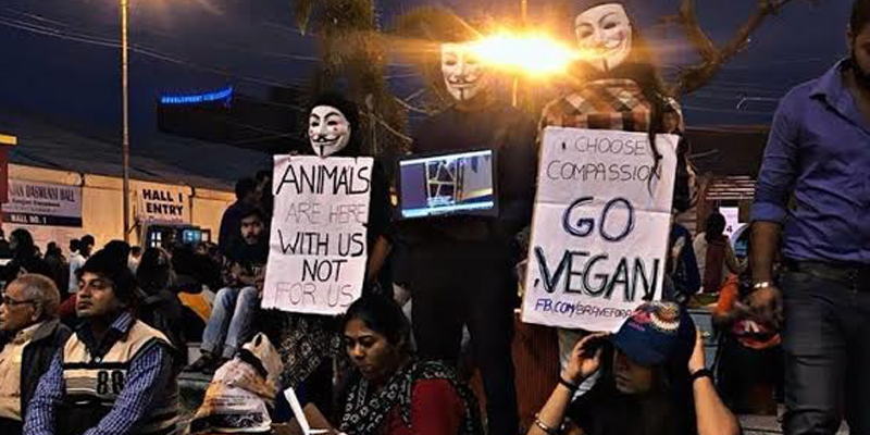 Animal activism in the time of social media