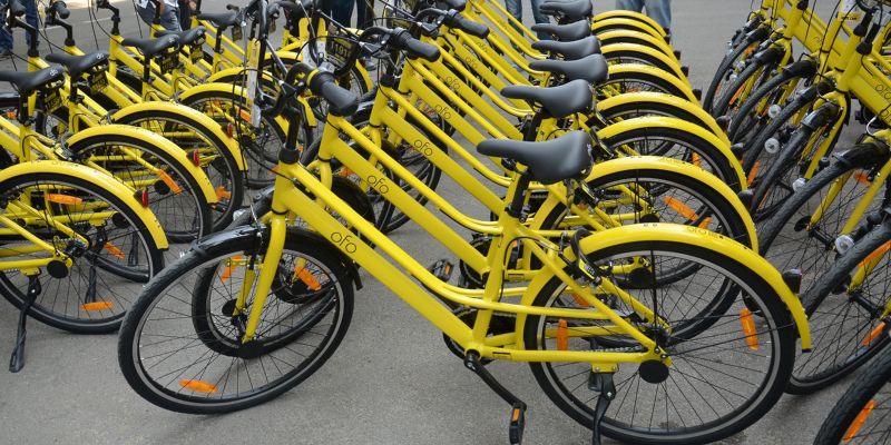 ofo cycle price