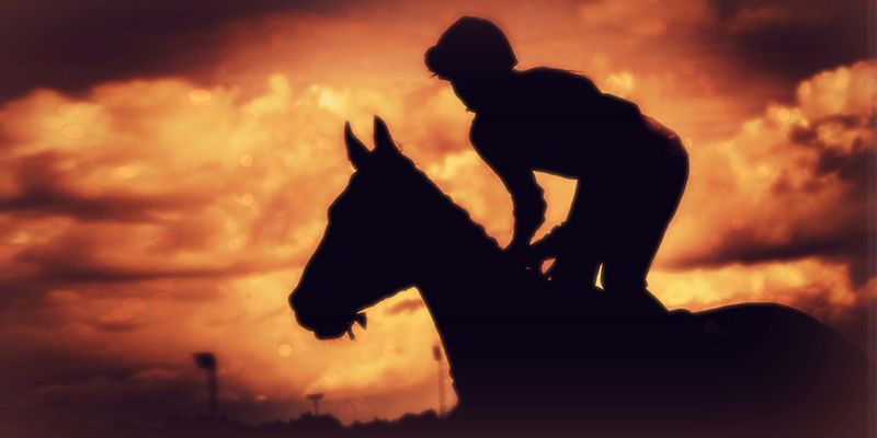 ‘You have to become the jockey, not the horse’ – 40 quotes from Indian startup journeys