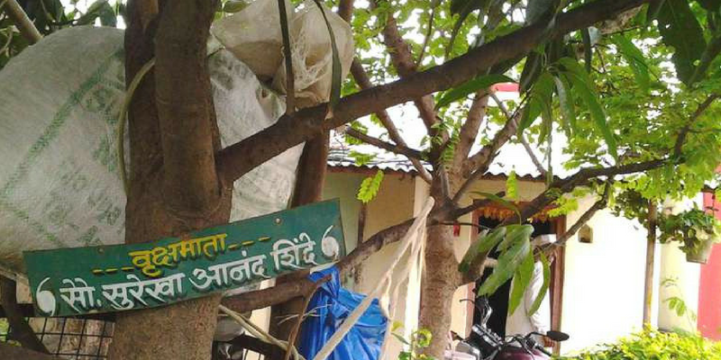 This village plants trees to mark births and deaths; tackles drought in Maharashtra