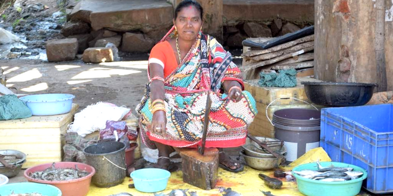 Enterprising Odisha women take to selling fish to improve lives