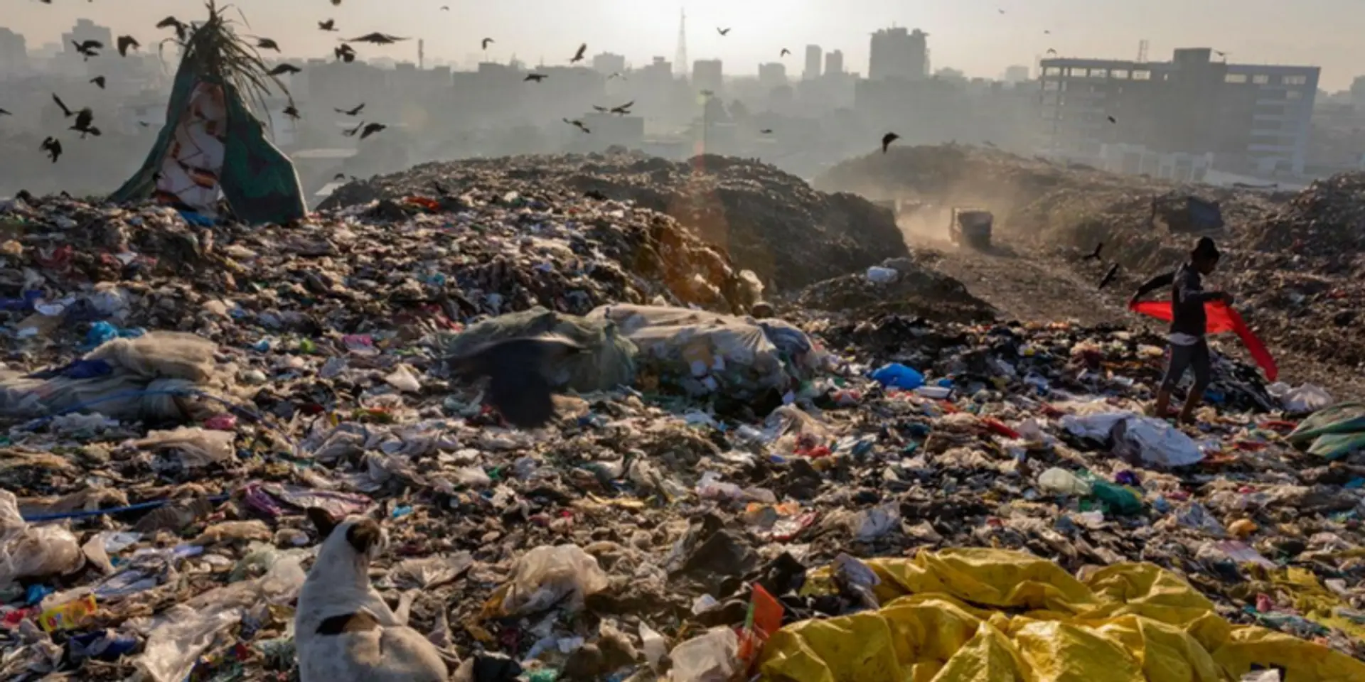 Beat Plastic Pollution: on Environment Day, these photos highlight the scars we have left on our planet