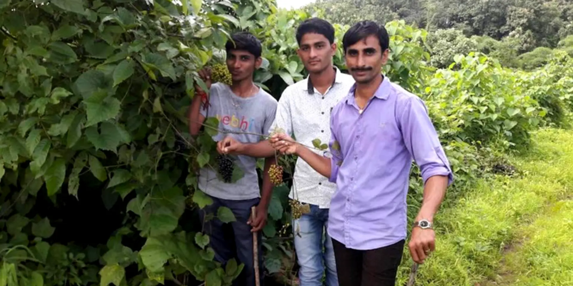 How villagers in Maharashtra's Poi breathed life back into a forest