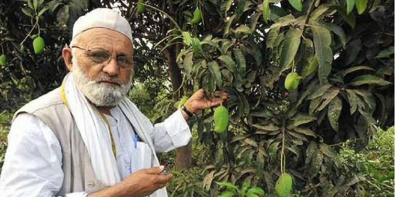 Meet the 'mango man' who has grown 300 varieties of mangoes on one tree