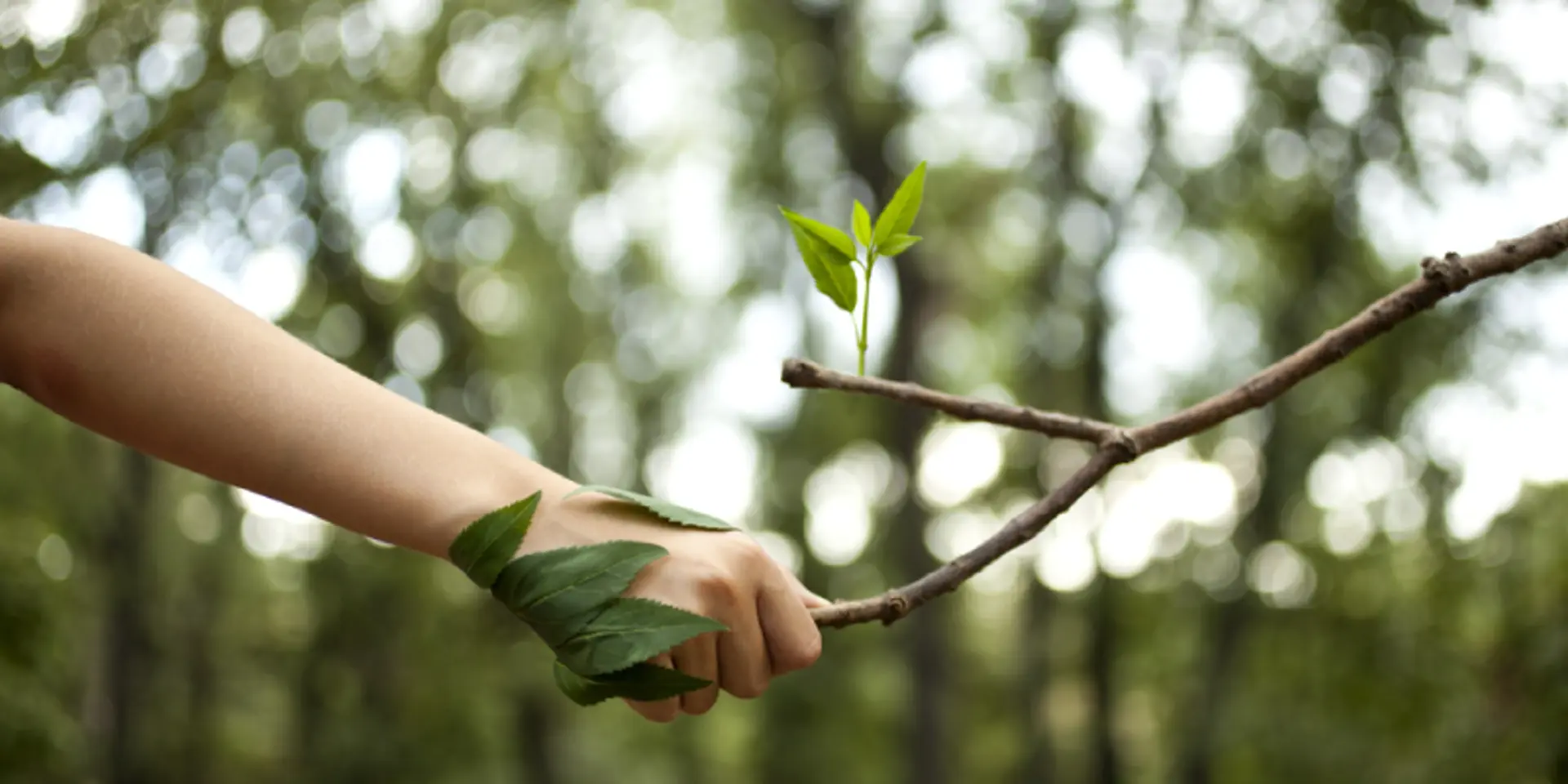 How real-estate firms can adopt environmentally sustainable practices