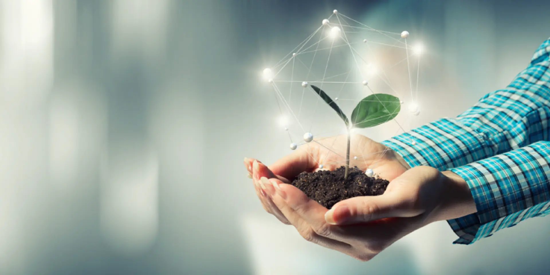 Tech transformation: how agriculture is being redefined through digital innovation and startups