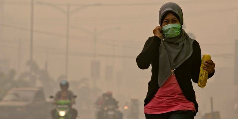 These Delhi-based startups offer innovative solutions to combat rising air pollution
