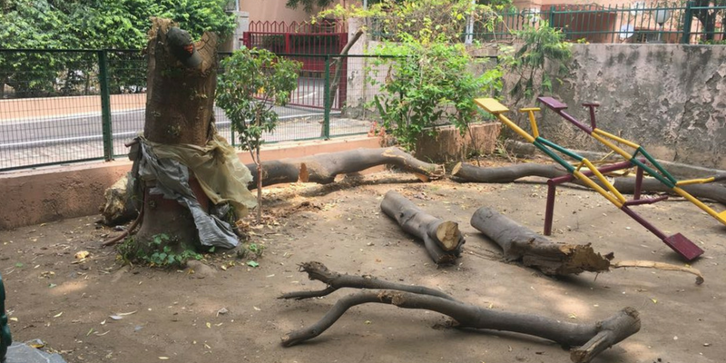 Delhi's citizen-led movement saves 16k trees from the axe