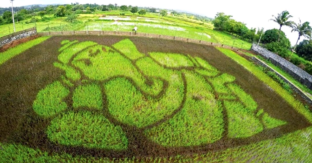 Why Japanese paddy art is finding takers in small Indian villages