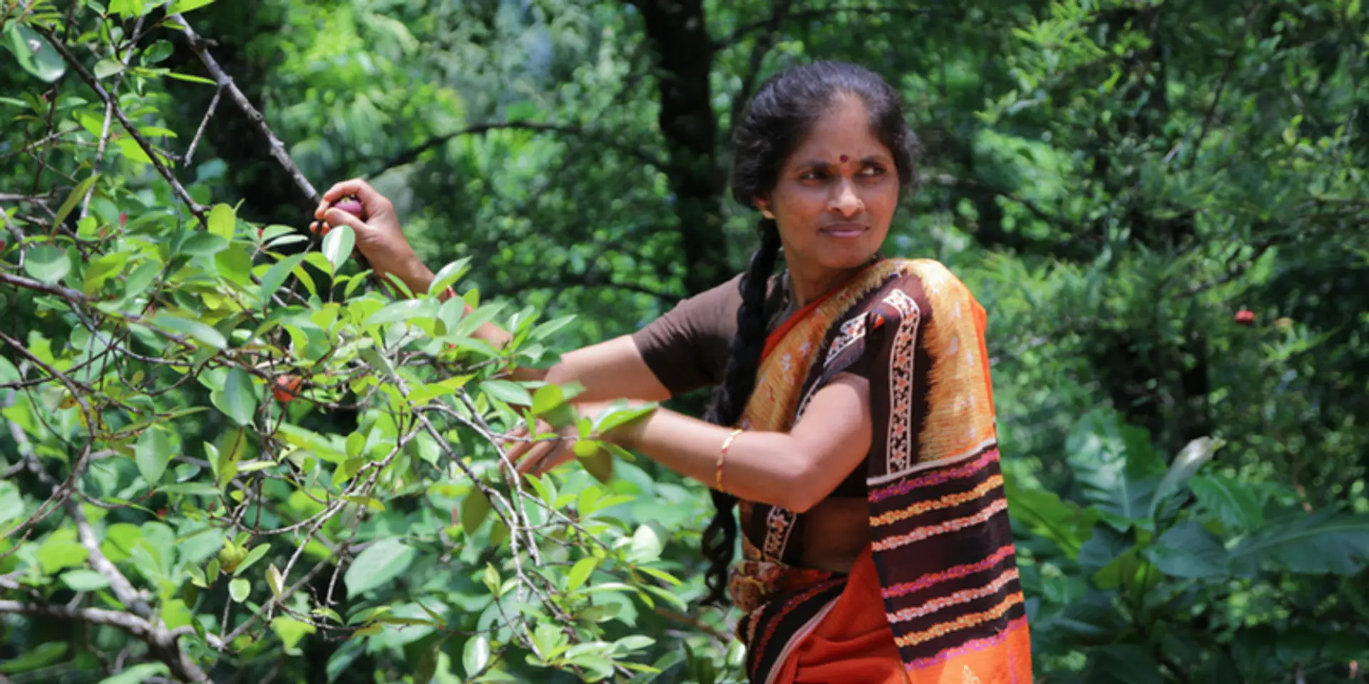 For the people, by the people: Is community forest resource management the future of India’s forests?