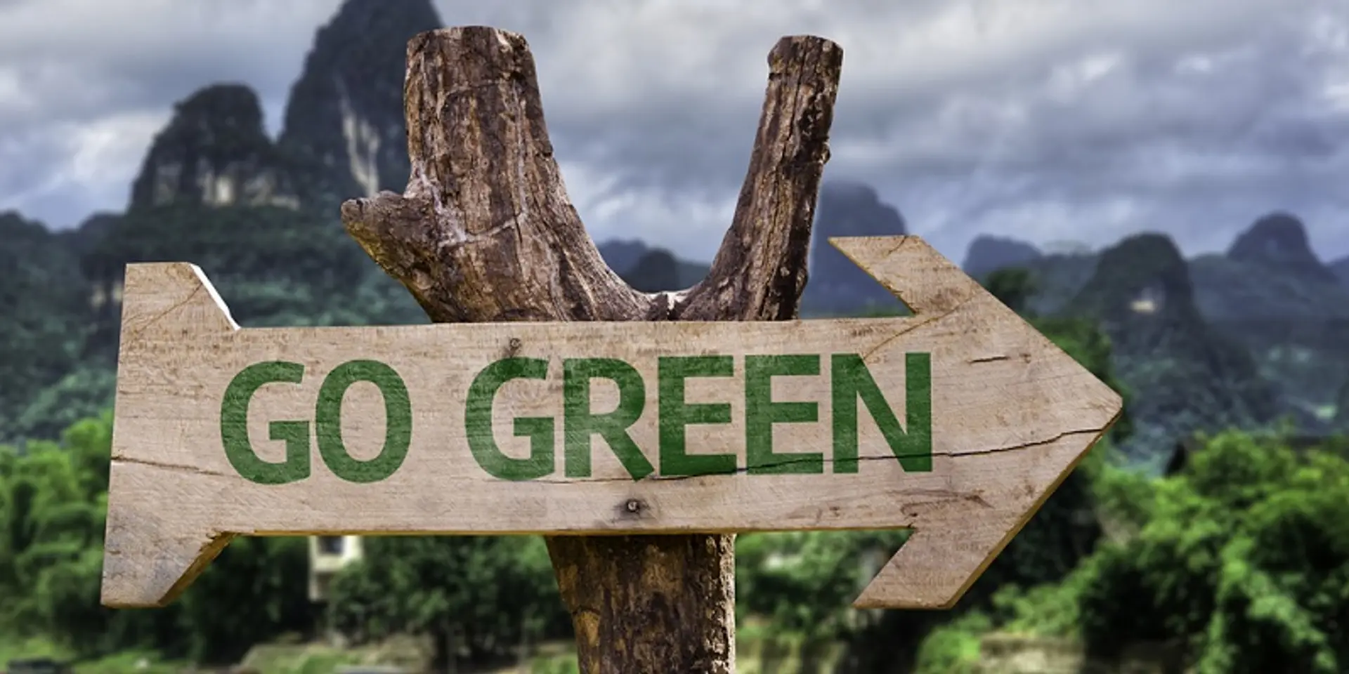 These startups throw plastic out of your kitchen with ecofriendly alternatives
