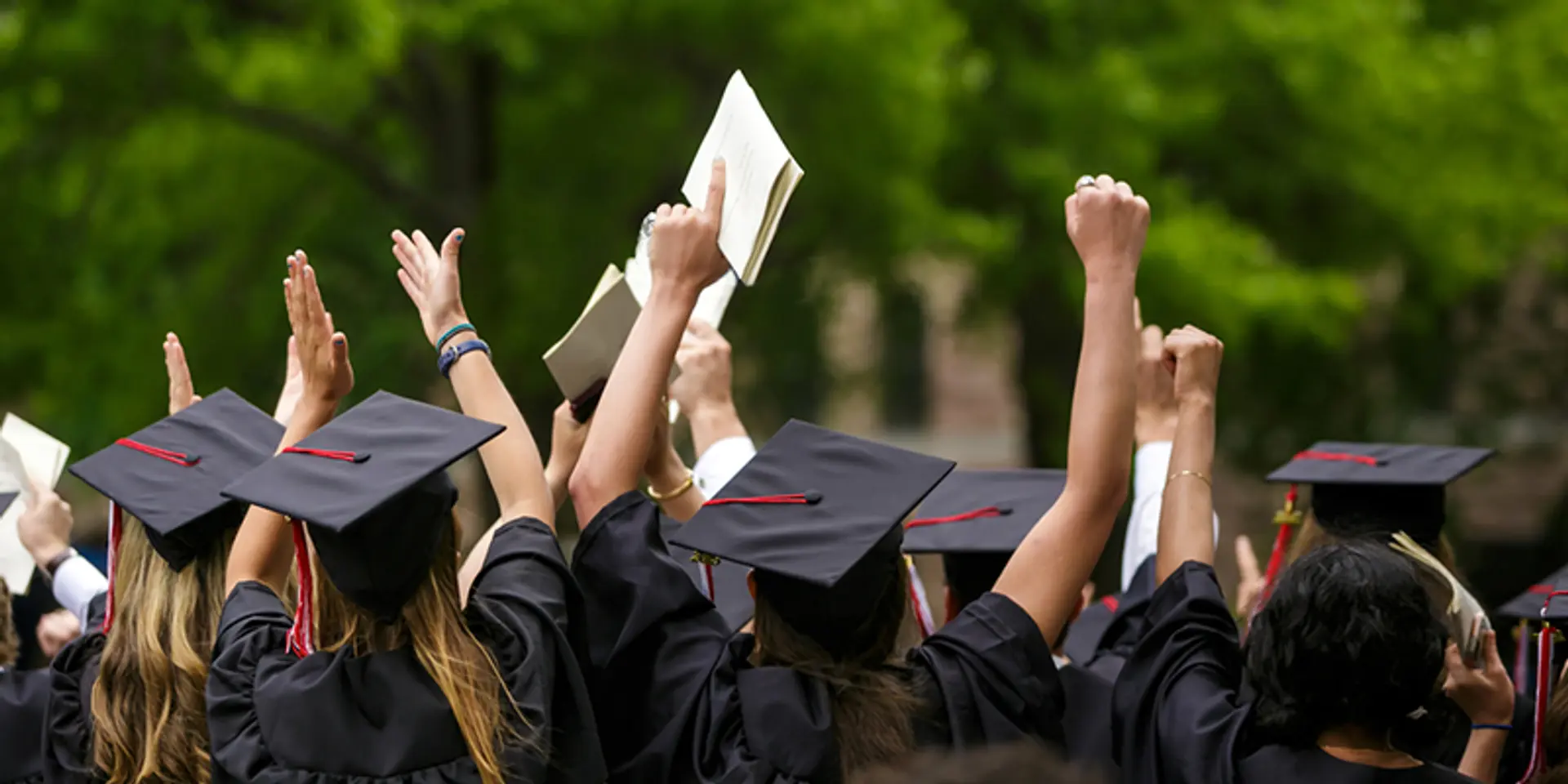 Planning to apply for an Ivy League school? Take a moment to pause and reflect