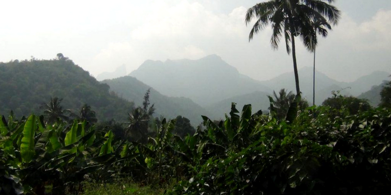 Kerala moves swiftly to treat Attapady’s tribes