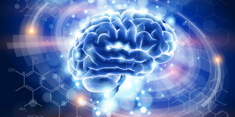 [App Fridays] Train your brain and get a mental boost with NeuroNation